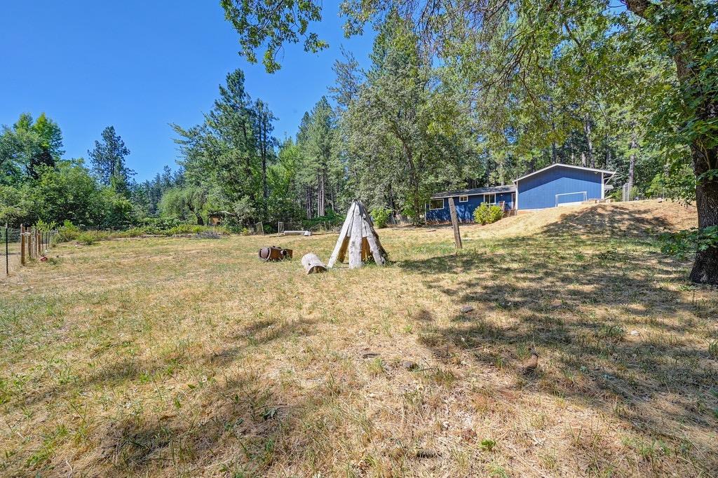 Rattlesnake Road, Grass Valley, California image 31