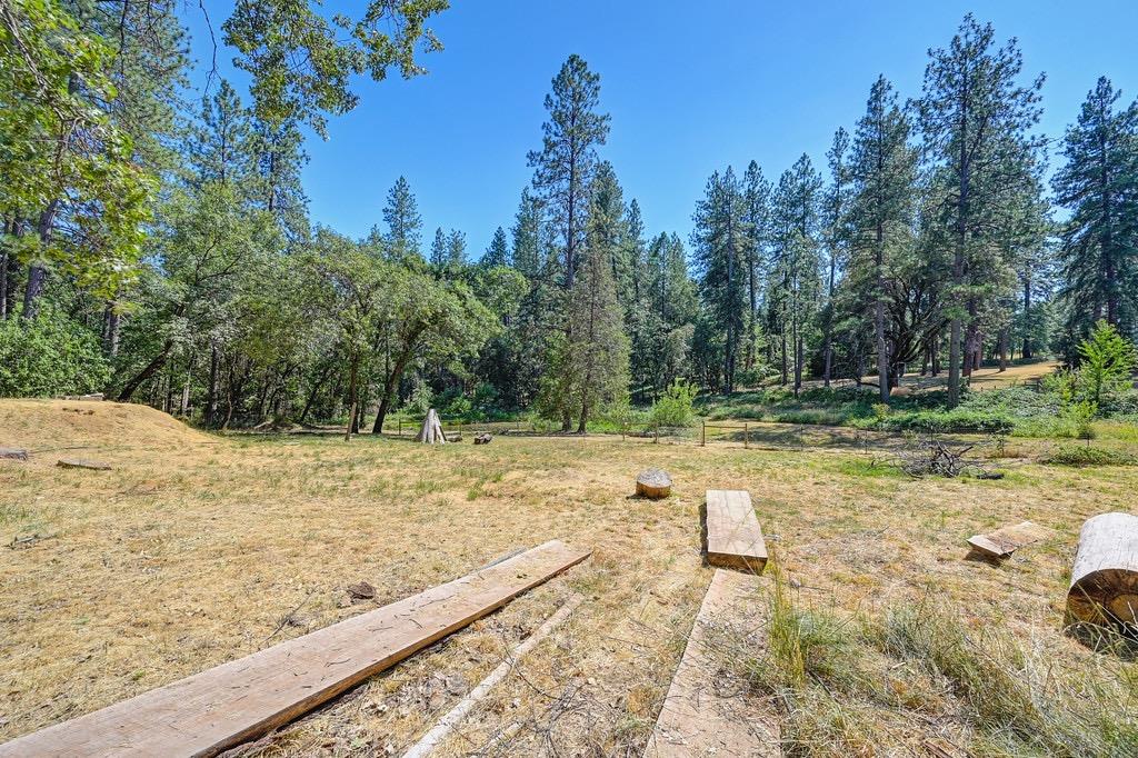 Rattlesnake Road, Grass Valley, California image 34