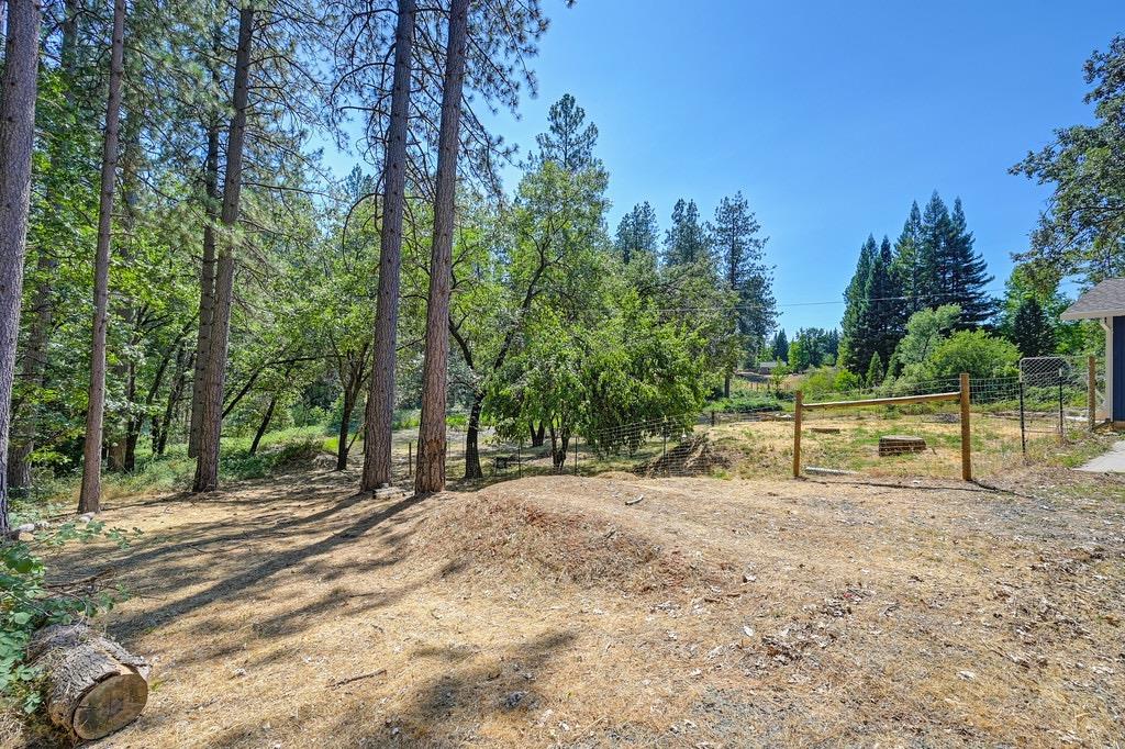 Rattlesnake Road, Grass Valley, California image 23