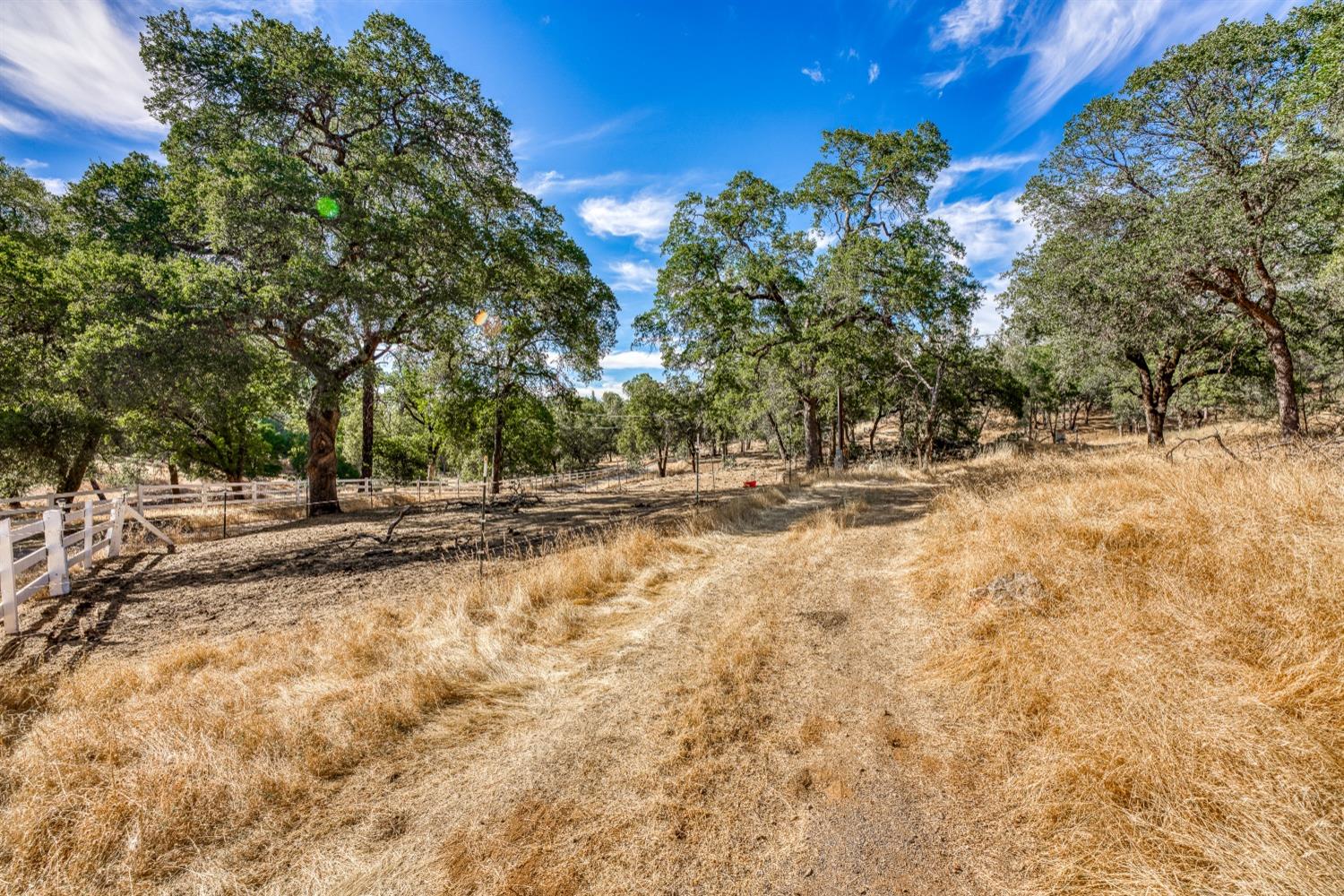 Penobscot Road, Greenwood, California image 42