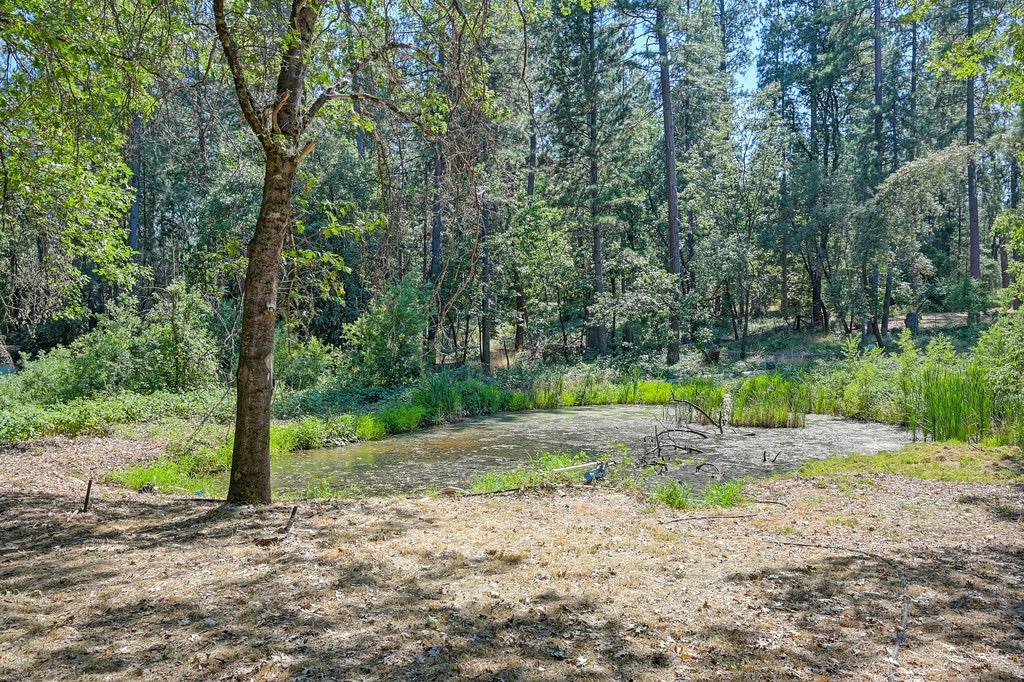 Rattlesnake Road, Grass Valley, California image 2