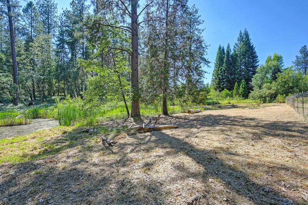 Rattlesnake Road, Grass Valley, California image 28