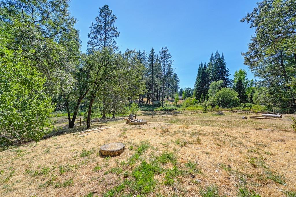 Rattlesnake Road, Grass Valley, California image 35