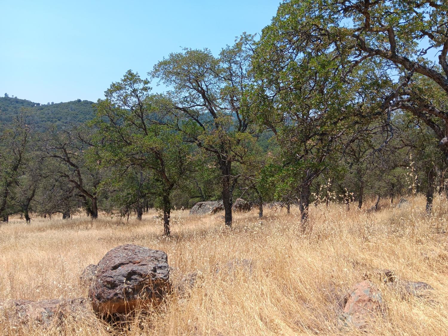 Pinto Drive, Angels Camp, California image 5