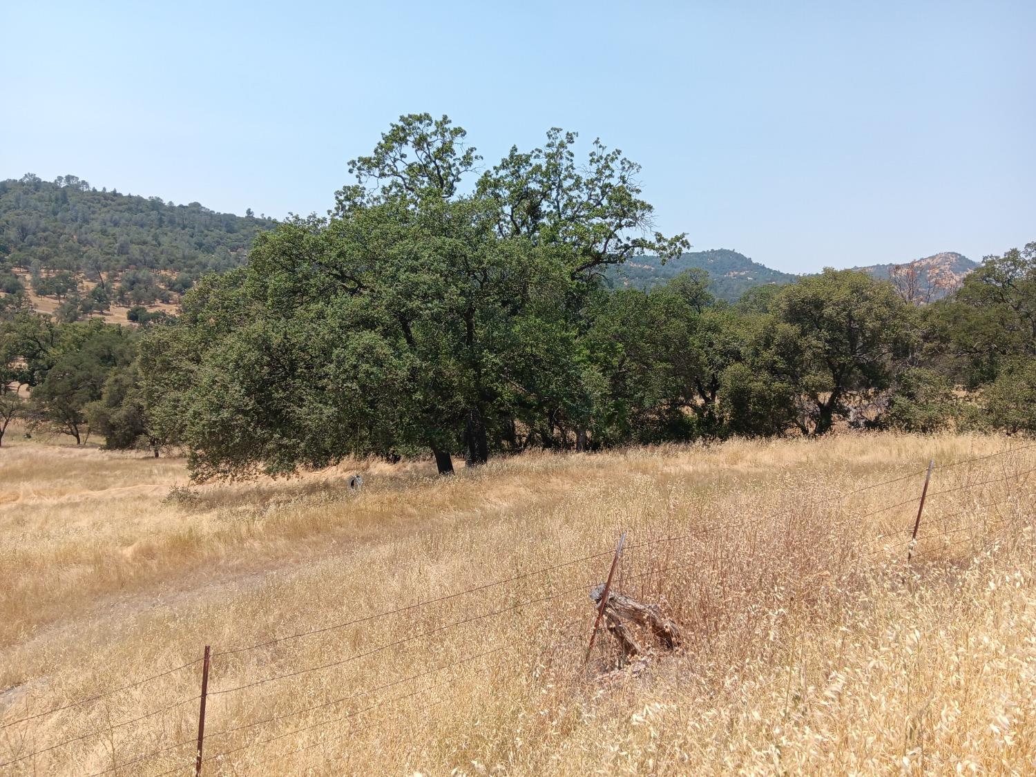 Pinto Drive, Angels Camp, California image 3