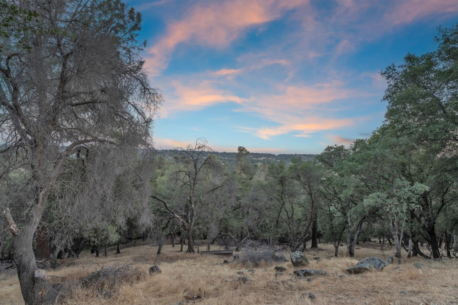 Detail Gallery Image 42 of 69 For 10150 Sueda Ranch Rd, Auburn,  CA 95603 - 3 Beds | 2 Baths