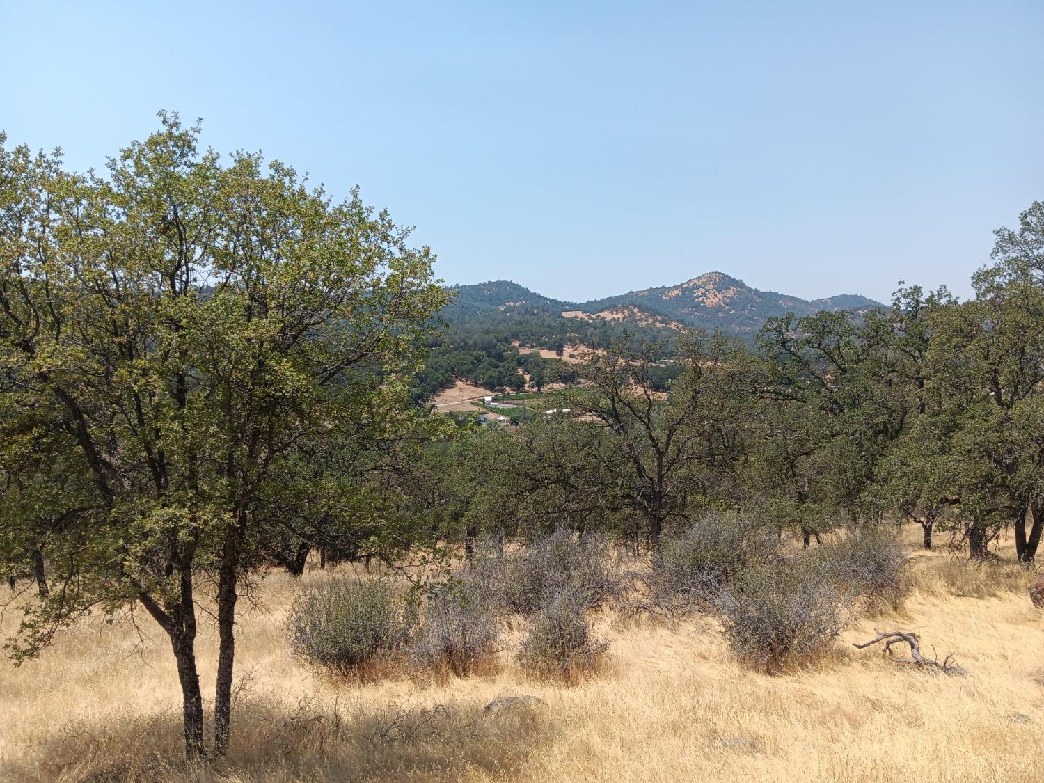 Pinto Drive, Angels Camp, California image 7