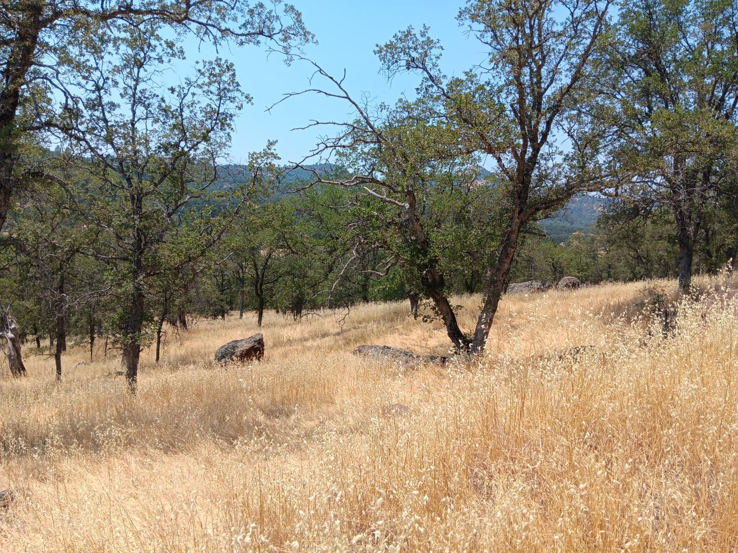 Pinto Drive, Angels Camp, California image 4