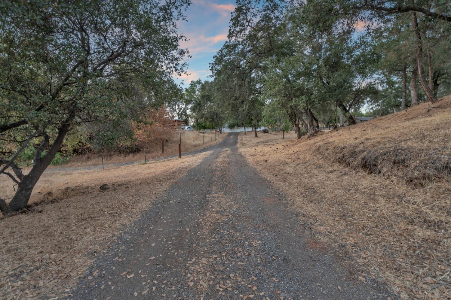 Detail Gallery Image 50 of 69 For 10150 Sueda Ranch Rd, Auburn,  CA 95603 - 3 Beds | 2 Baths