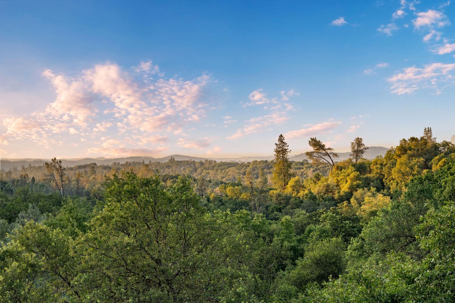 Detail Gallery Image 2 of 46 For 2020 Landes Ln, Shingle Springs,  CA 95682 - 4 Beds | 3 Baths