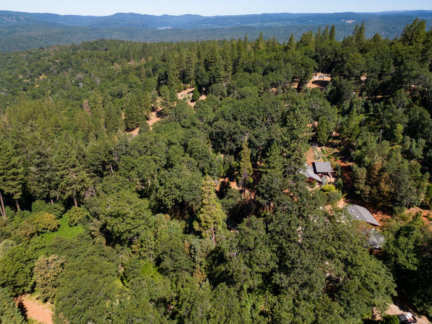 Detail Gallery Image 84 of 91 For 21347 Maidu Ridge Rd, Nevada City,  CA 95959 - 6 Beds | 5/1 Baths