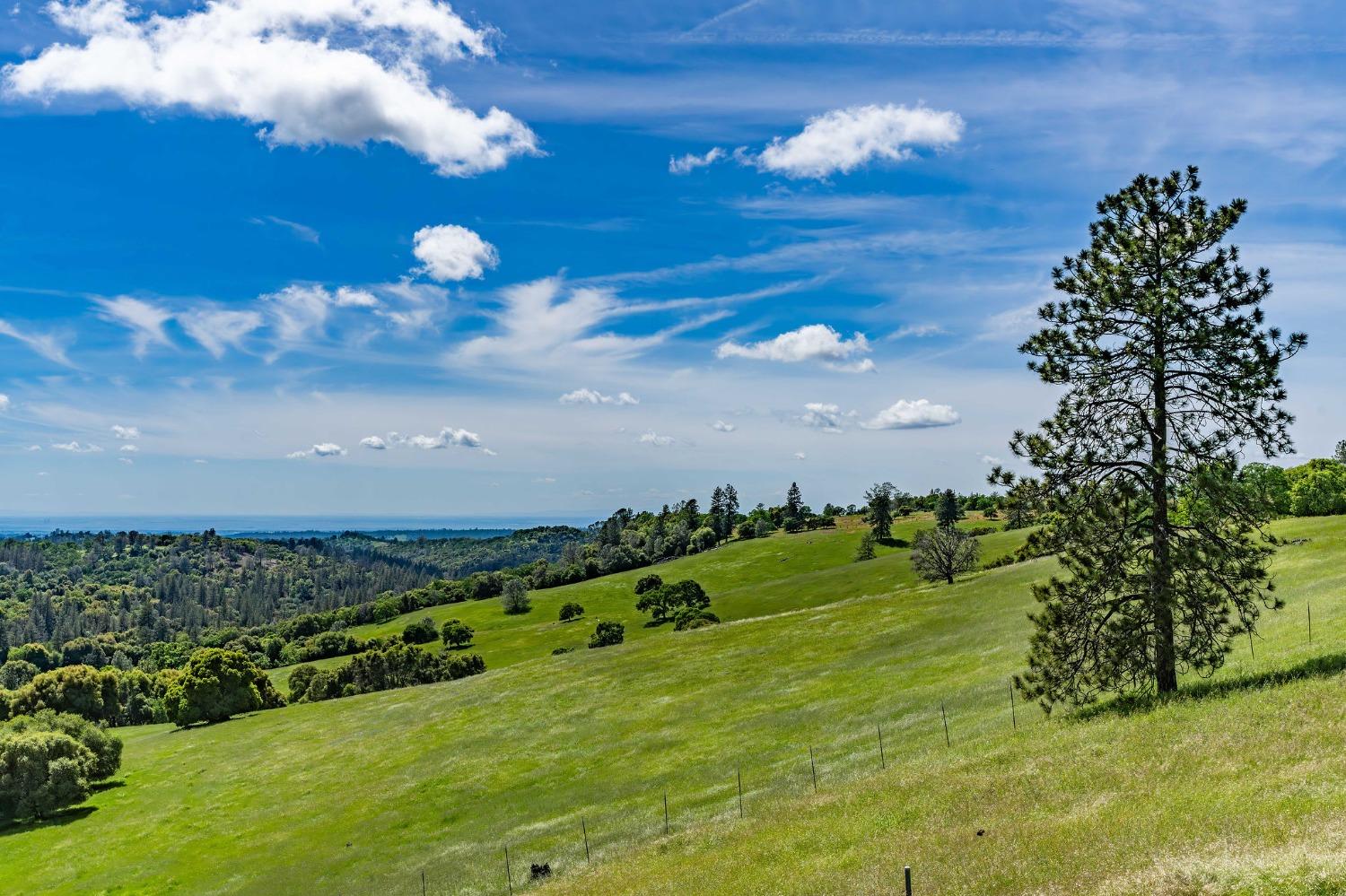 Detail Gallery Image 80 of 91 For 15111 Tyler Rd, Fiddletown,  CA 95629 - 5 Beds | 4/2 Baths