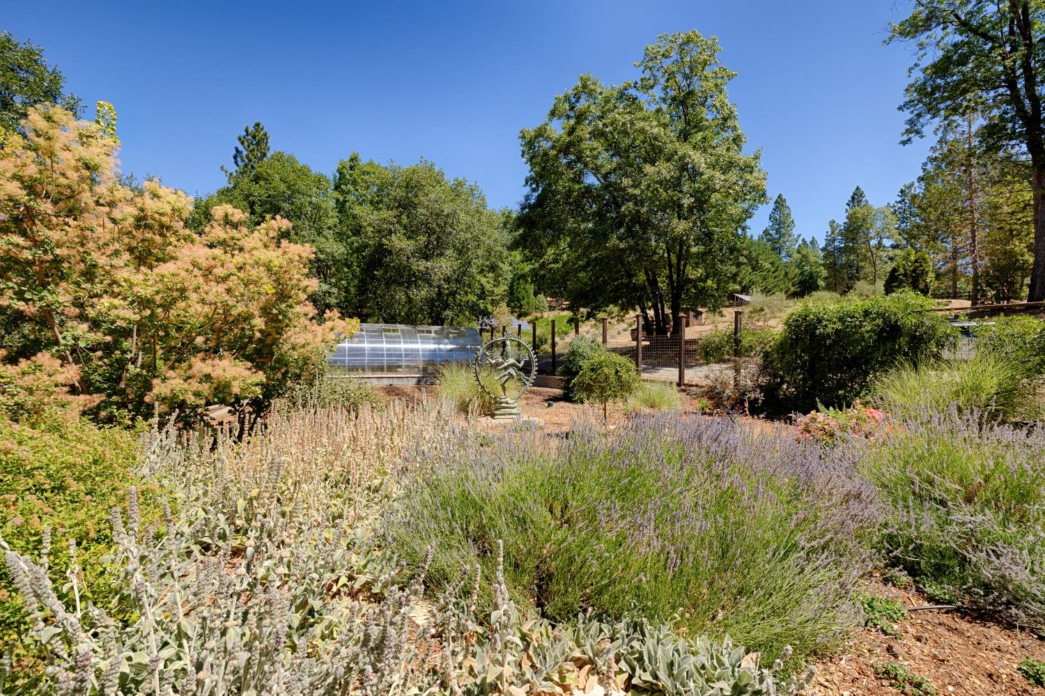 Detail Gallery Image 66 of 91 For 21347 Maidu Ridge Rd, Nevada City,  CA 95959 - 6 Beds | 5/1 Baths