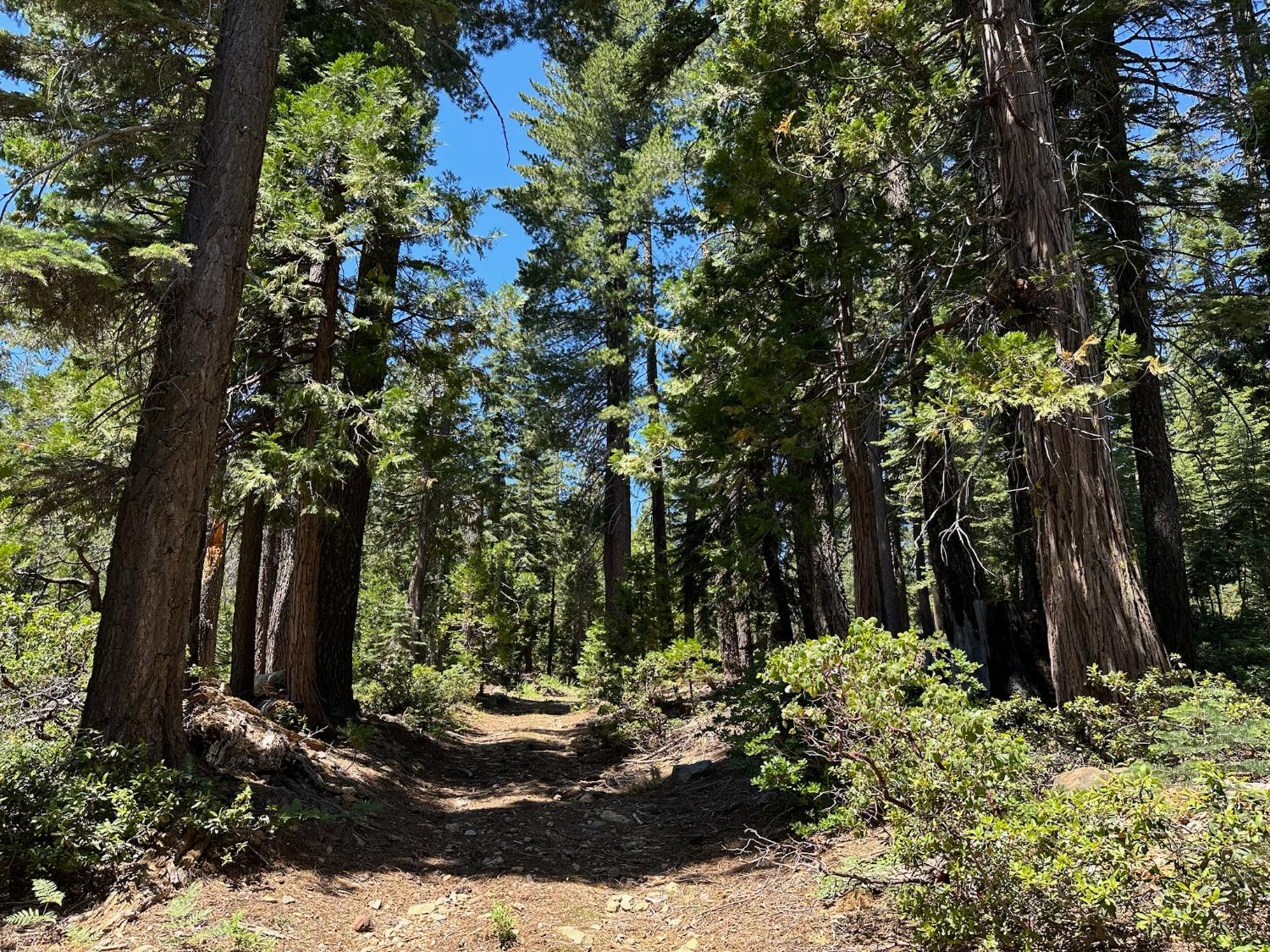 Detail Gallery Image 37 of 43 For 25609 Hoosier Rd, Nevada City,  CA 95959 - – Beds | – Baths