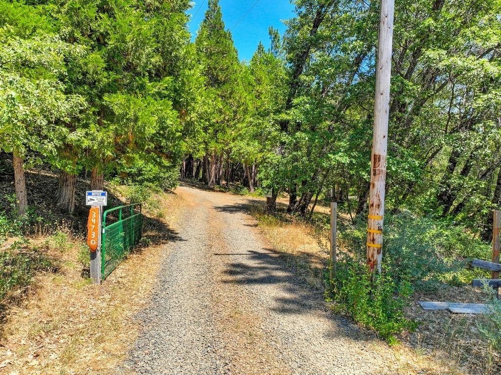 Detail Gallery Image 46 of 79 For 34730 Culberson Rd, Alta,  CA 95701 - 3 Beds | 2 Baths