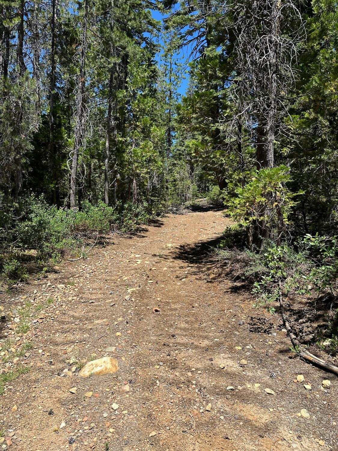 Detail Gallery Image 24 of 43 For 25609 Hoosier Rd, Nevada City,  CA 95959 - – Beds | – Baths