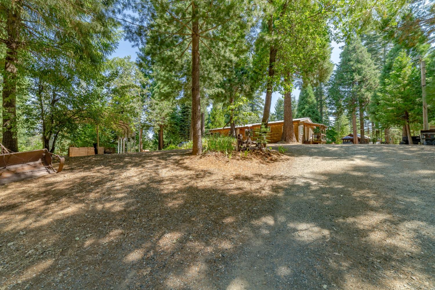 Detail Gallery Image 8 of 53 For 13119 La Porte Rd, Strawberry Valley,  CA 95981 - 3 Beds | 2 Baths