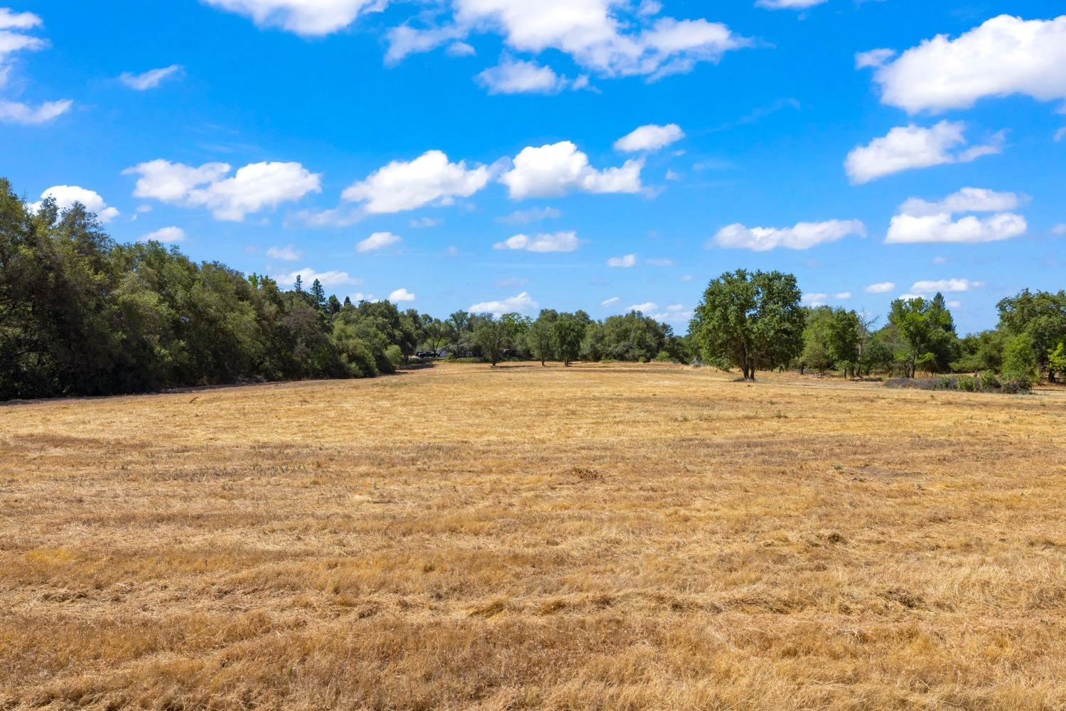 Golden Gate Avenue, Orangevale, California image 1