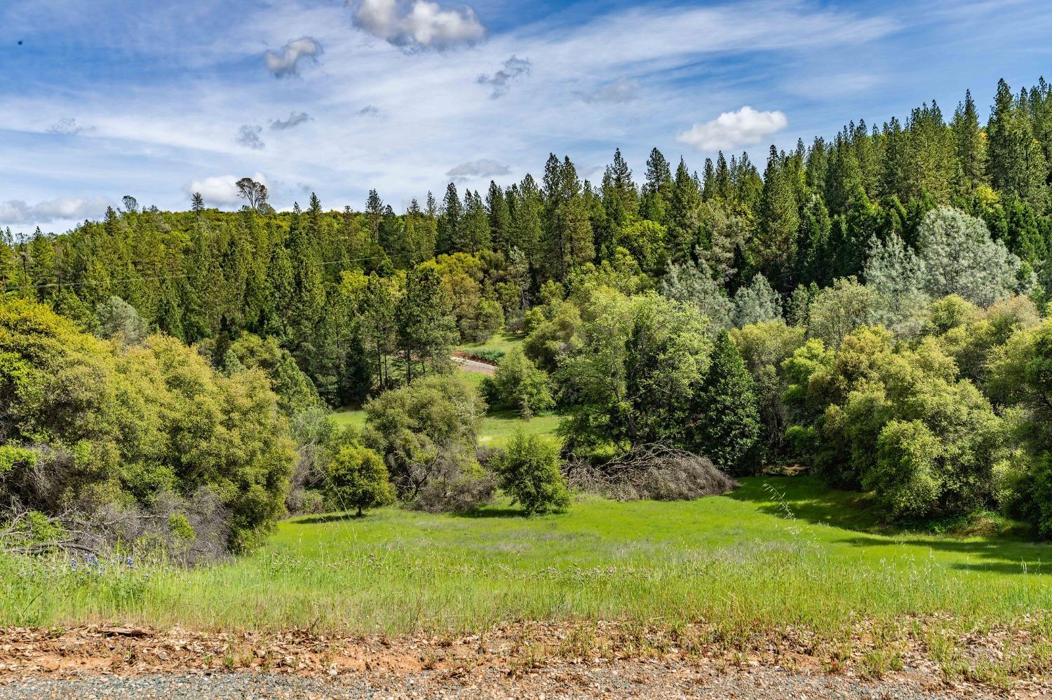 Detail Gallery Image 81 of 91 For 15111 Tyler Rd, Fiddletown,  CA 95629 - 5 Beds | 4/2 Baths