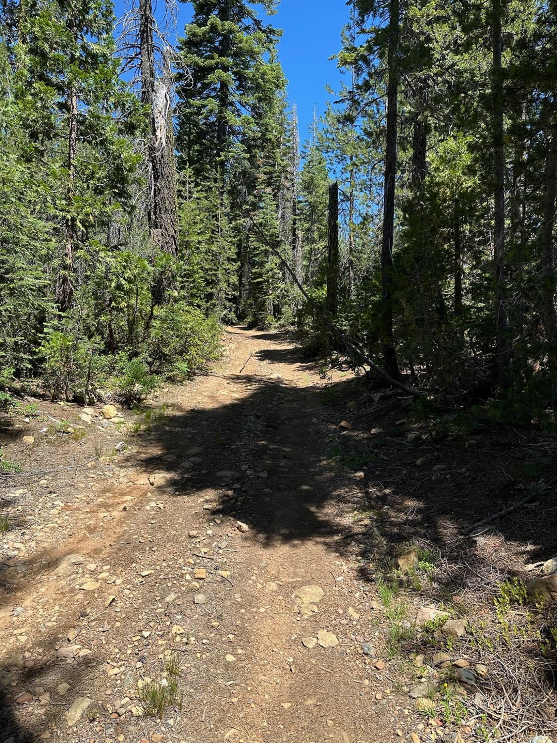 Detail Gallery Image 22 of 43 For 25609 Hoosier Rd, Nevada City,  CA 95959 - – Beds | – Baths