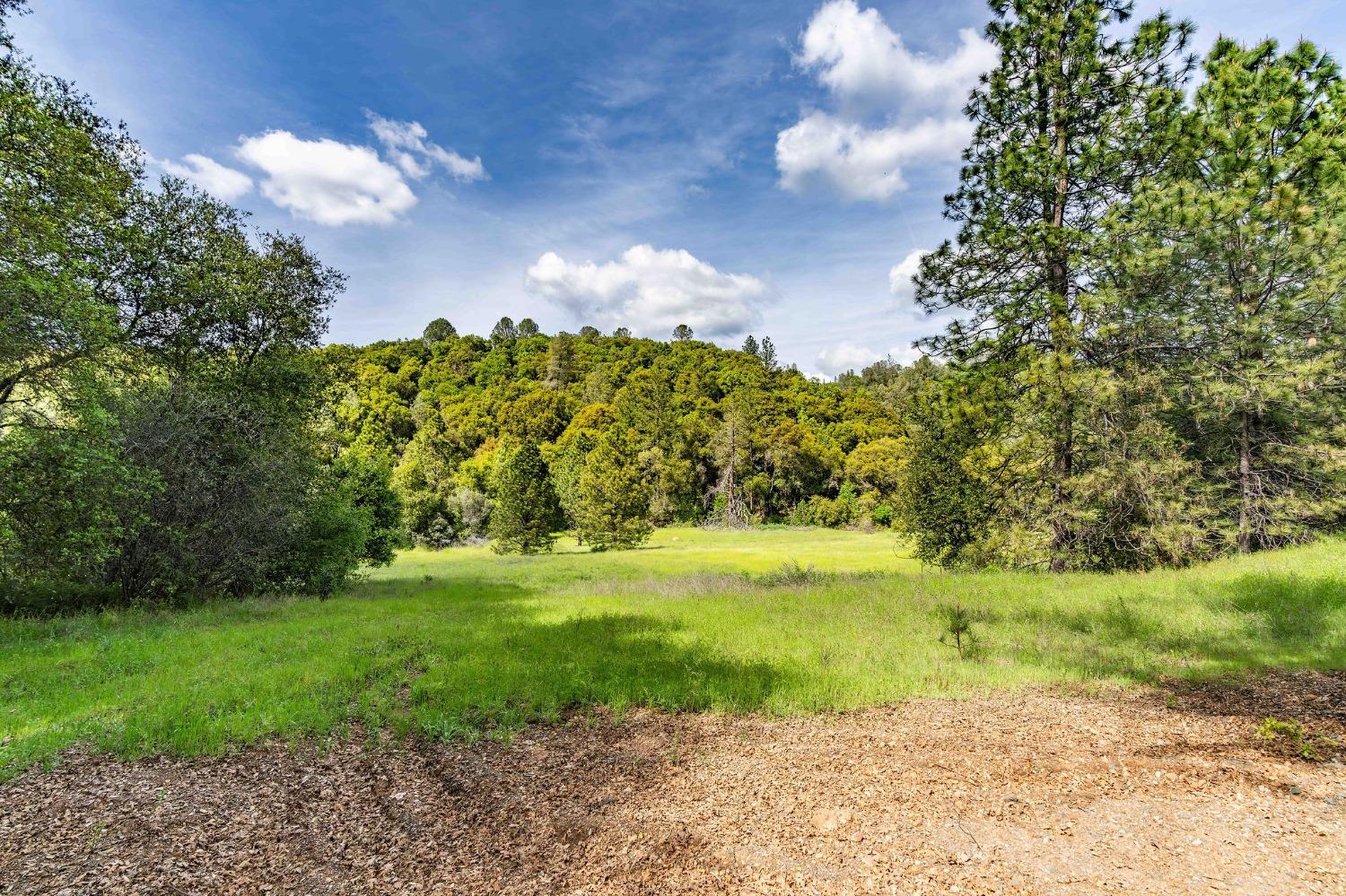 Detail Gallery Image 85 of 91 For 15111 Tyler Rd, Fiddletown,  CA 95629 - 5 Beds | 4/2 Baths