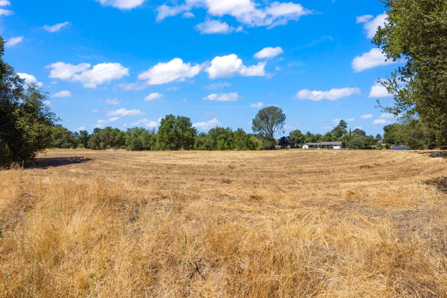 Golden Gate Avenue, Orangevale, California image 4