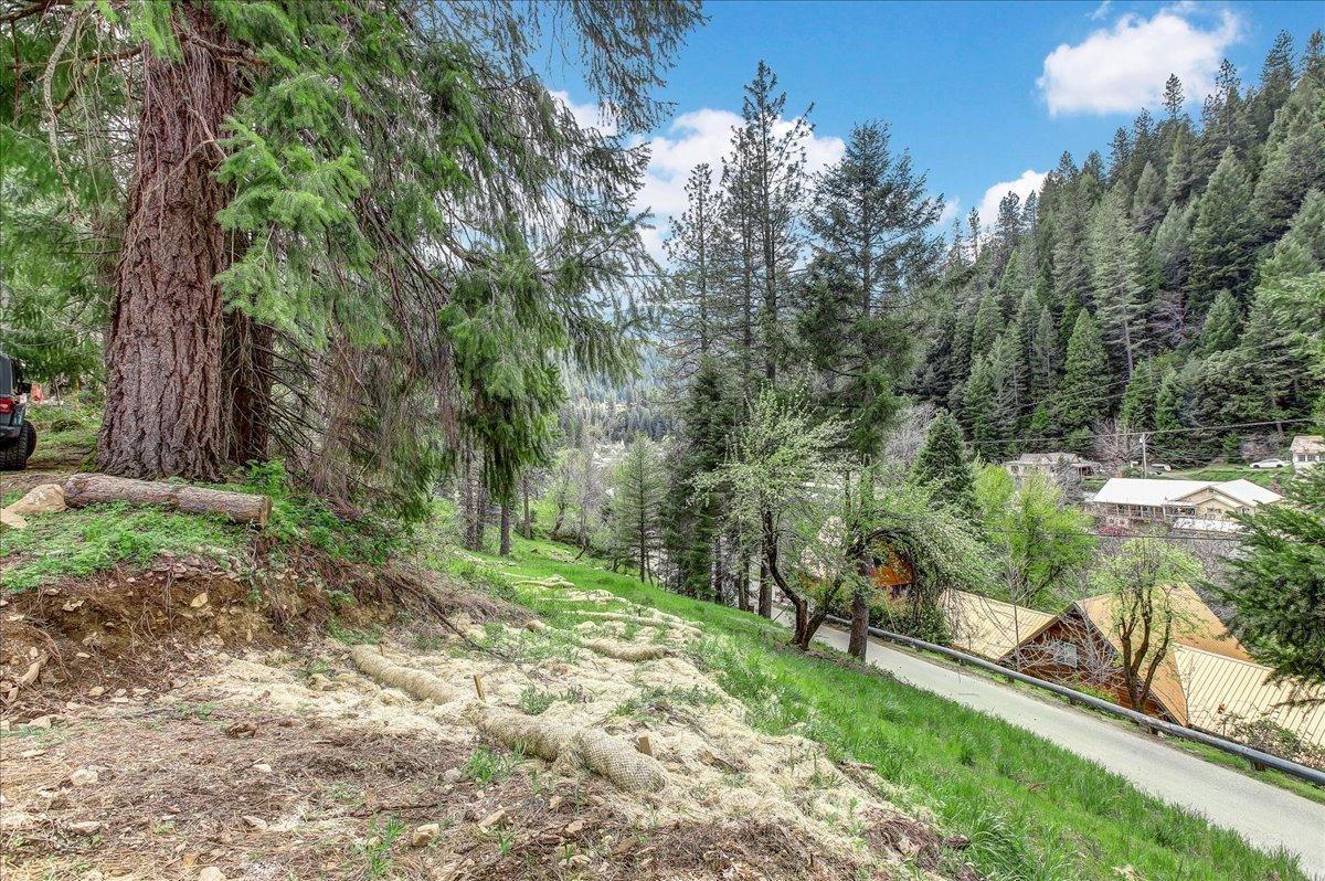 Detail Gallery Image 4 of 34 For 118 E. River St., Downieville,  CA 95936 - – Beds | – Baths