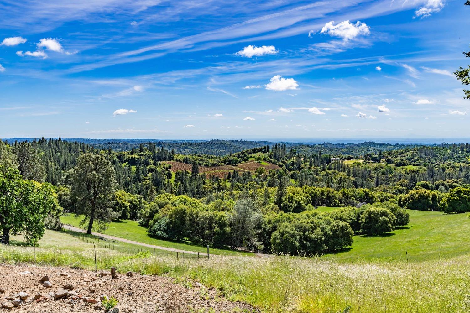 Detail Gallery Image 75 of 91 For 15111 Tyler Rd, Fiddletown,  CA 95629 - 5 Beds | 4/2 Baths