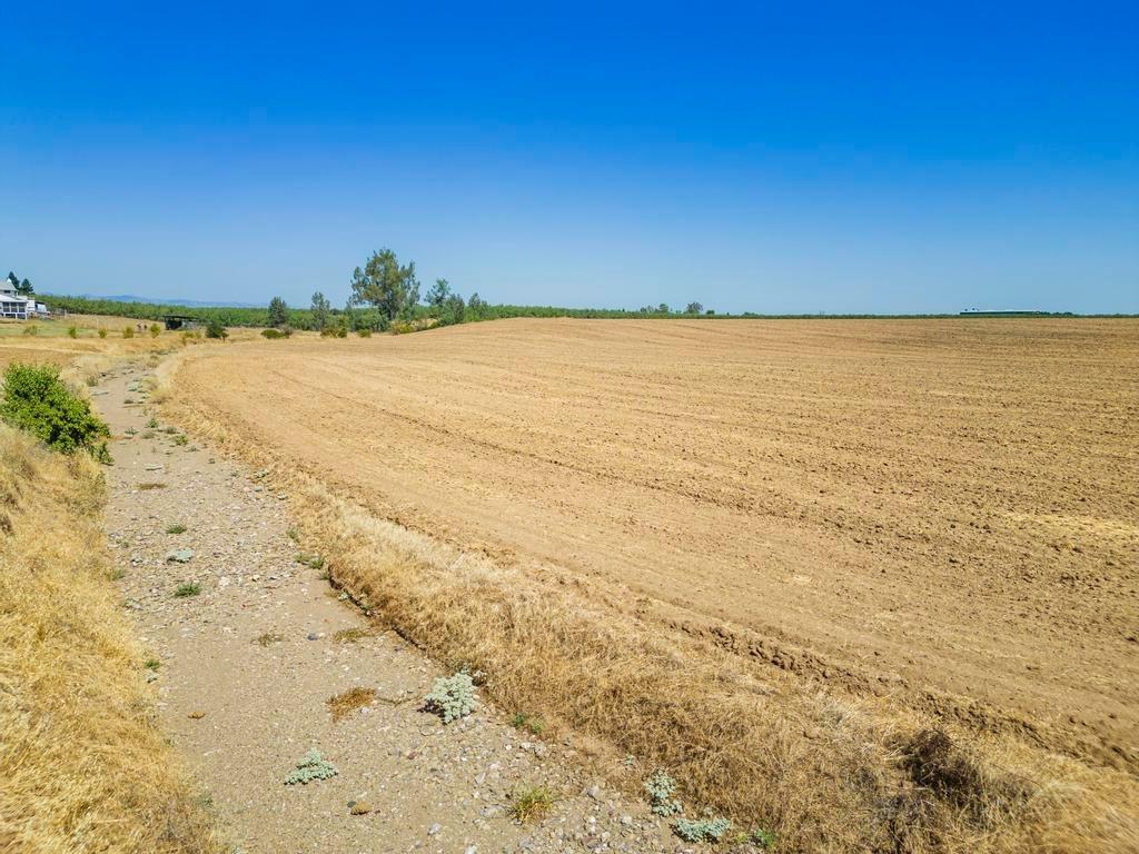 Harrington Avenue, Arbuckle, California image 18