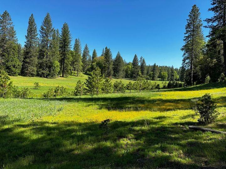 Detail Gallery Image 35 of 87 For 5110 Sly Park Road, Pollock Pines,  CA 95726 - 4 Beds | 2/1 Baths