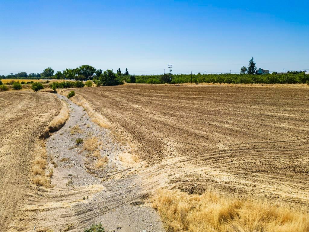 Harrington Avenue, Arbuckle, California image 11