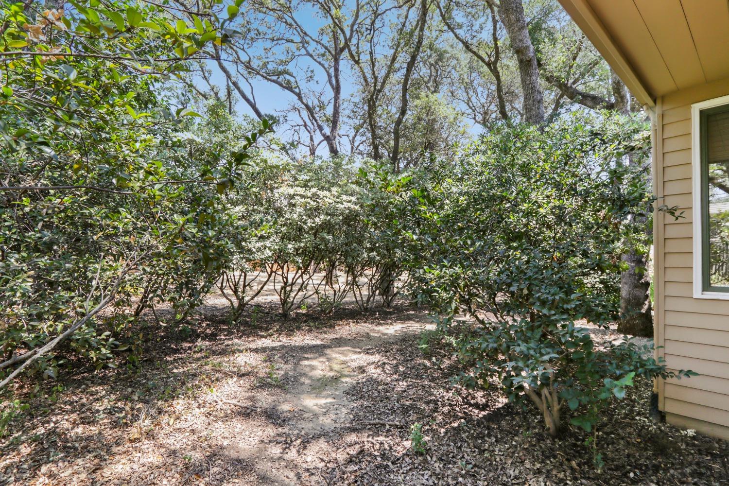 Detail Gallery Image 64 of 80 For 4711 Tree Shadow Pl, Fair Oaks,  CA 95628 - 3 Beds | 2/1 Baths