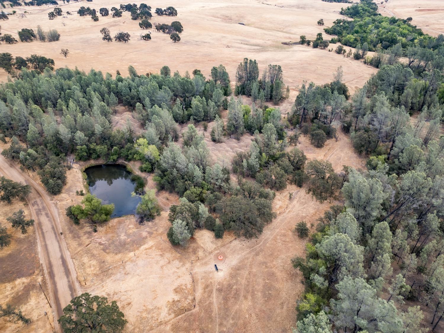 Blanco Road, Palermo, California image 6