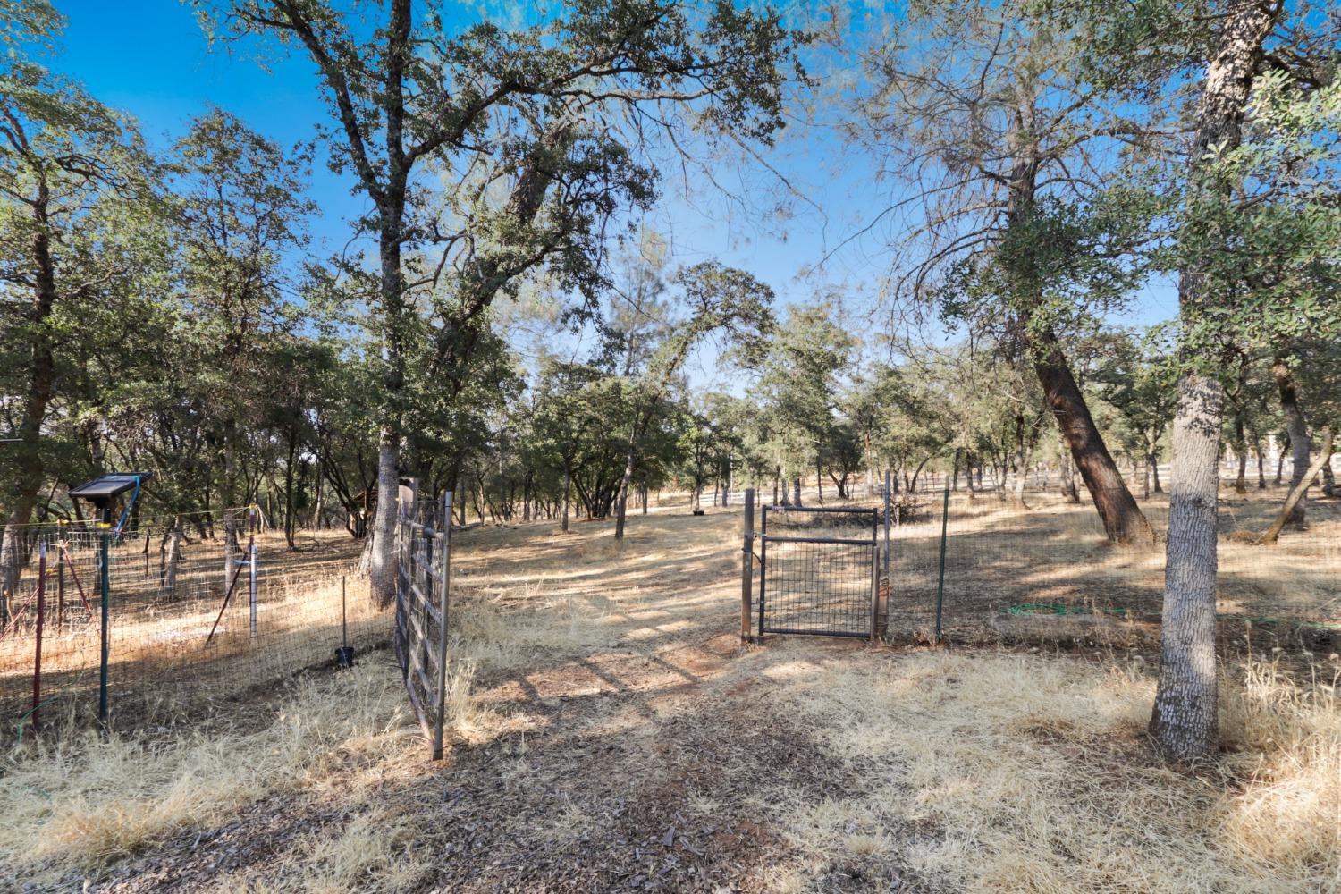 Gambah Drive, Auburn, California image 43