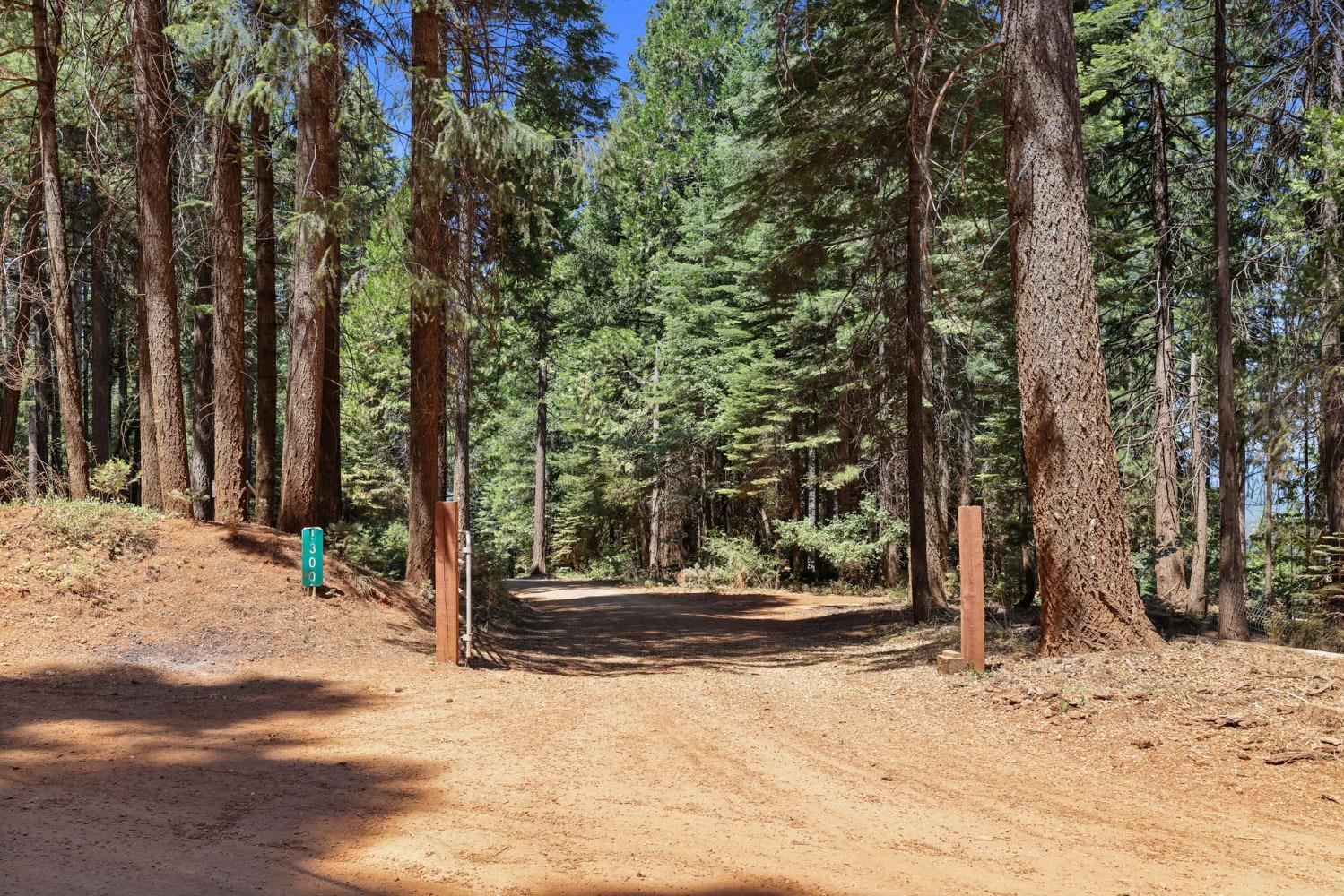 Moody Ridge Road, Alta, California image 37