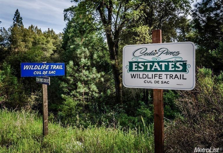 Wildlife Trail, Fiddletown, California image 1