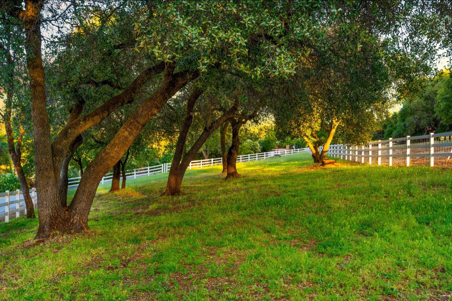 Grazing Hill Court, Shingle Springs, California image 18