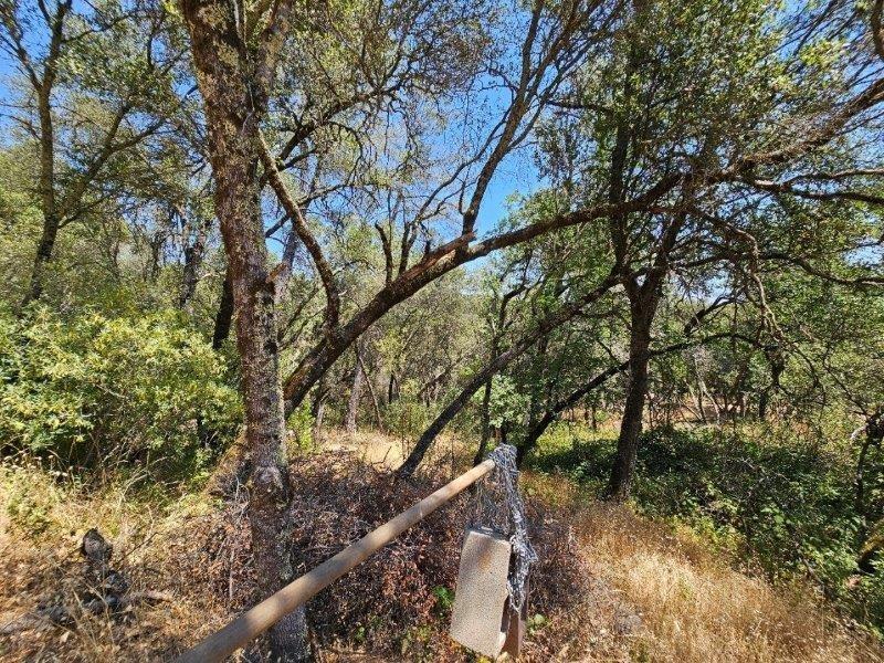 Detail Gallery Image 13 of 13 For 10114 Ladybird Dr, Grass Valley,  CA 95949 - – Beds | – Baths