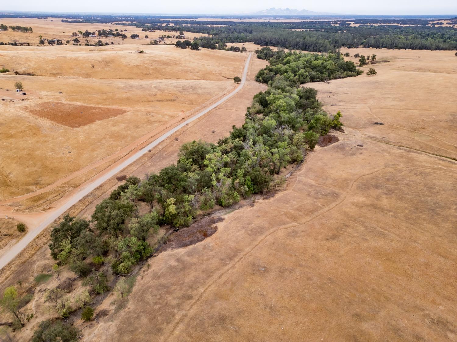 Blanco Road, Palermo, California image 14