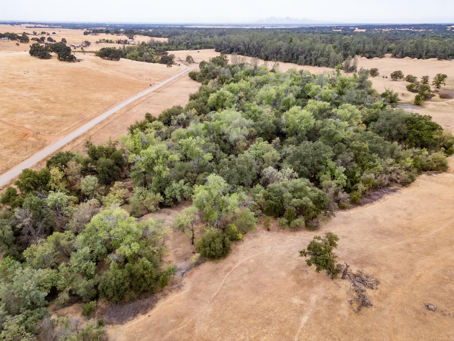 Blanco Road, Palermo, California image 17