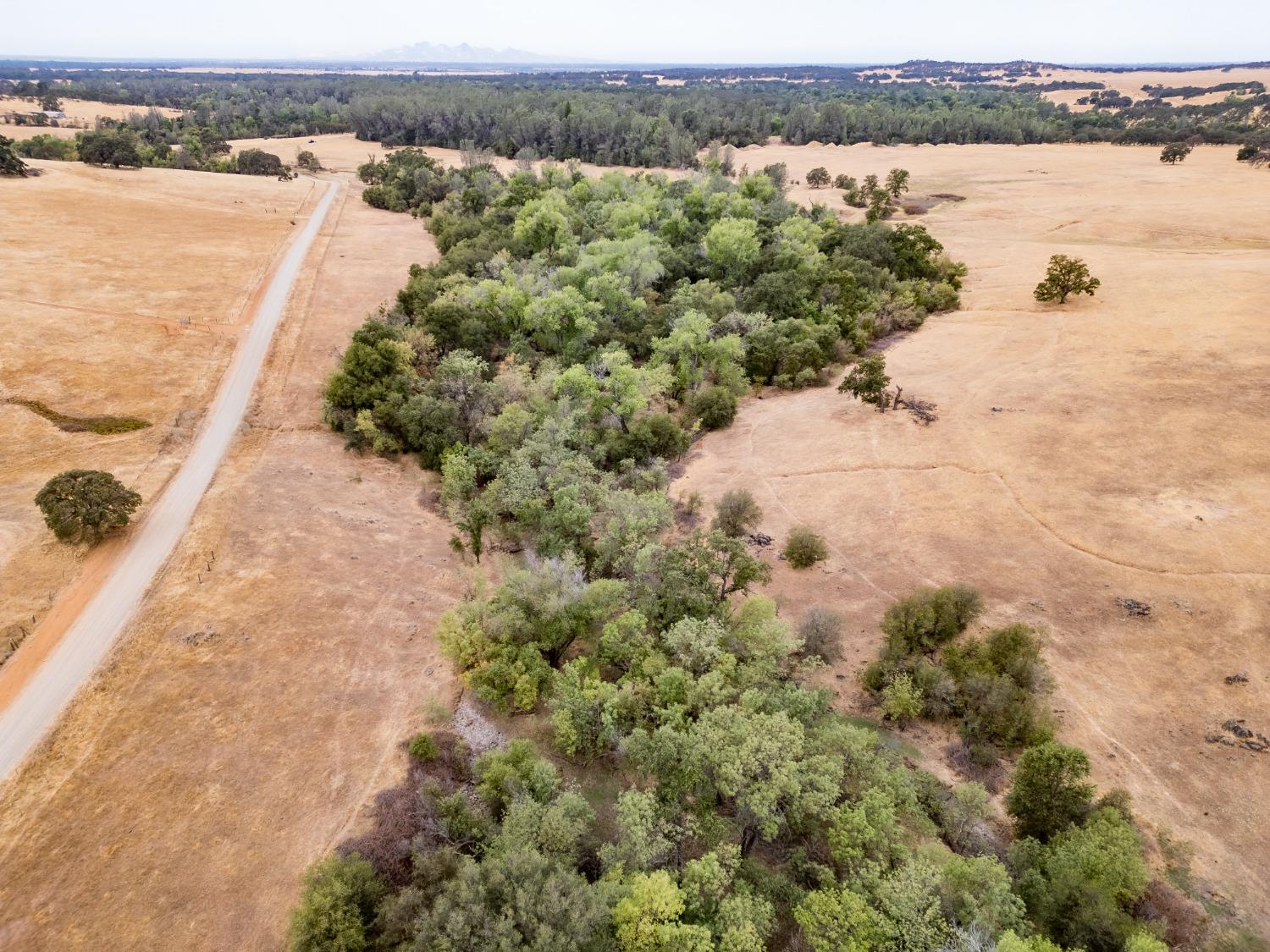 Blanco Road, Palermo, California image 16