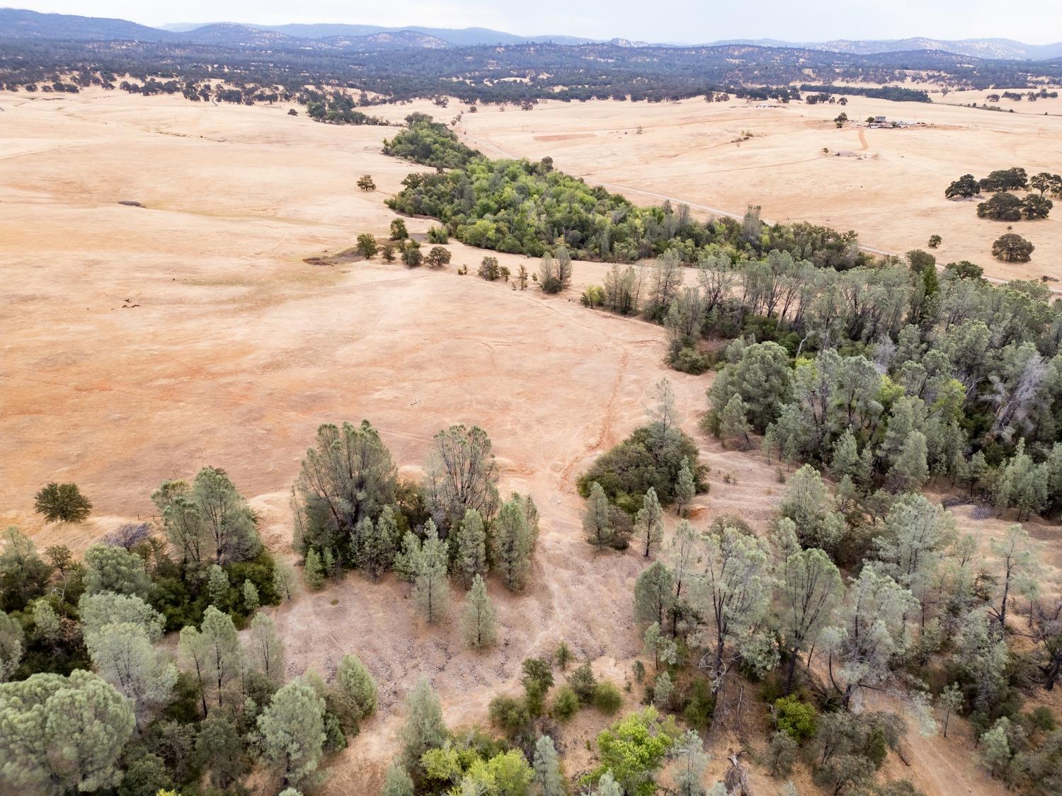 Blanco Road, Palermo, California image 8