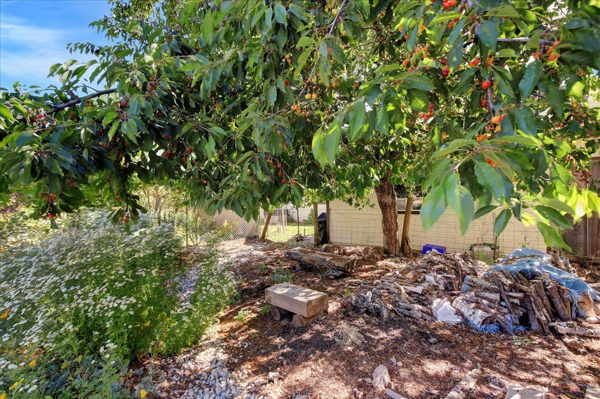 10937 Canyon View Dr., Grass Valley, California image 38