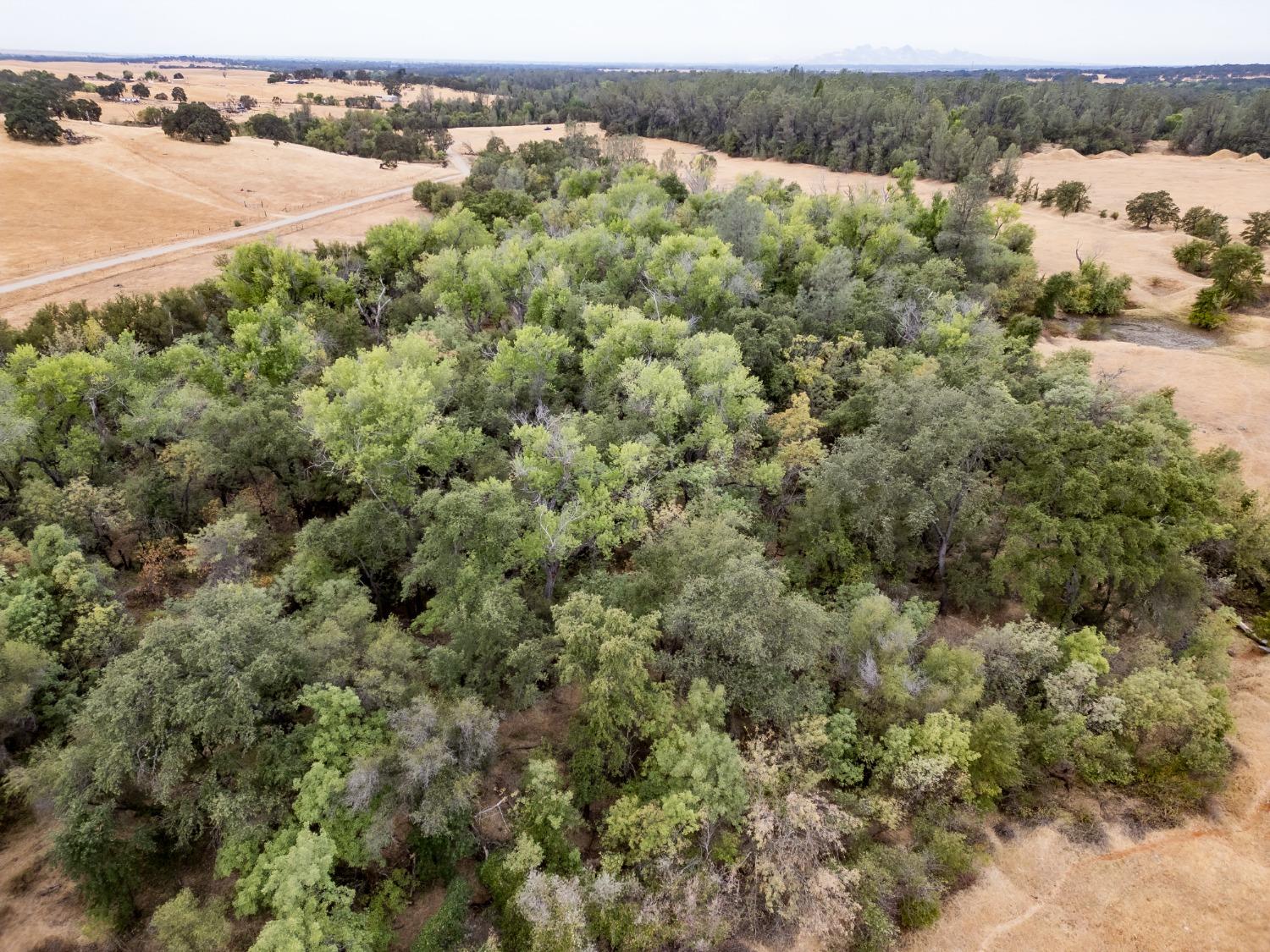 Blanco Road, Palermo, California image 18