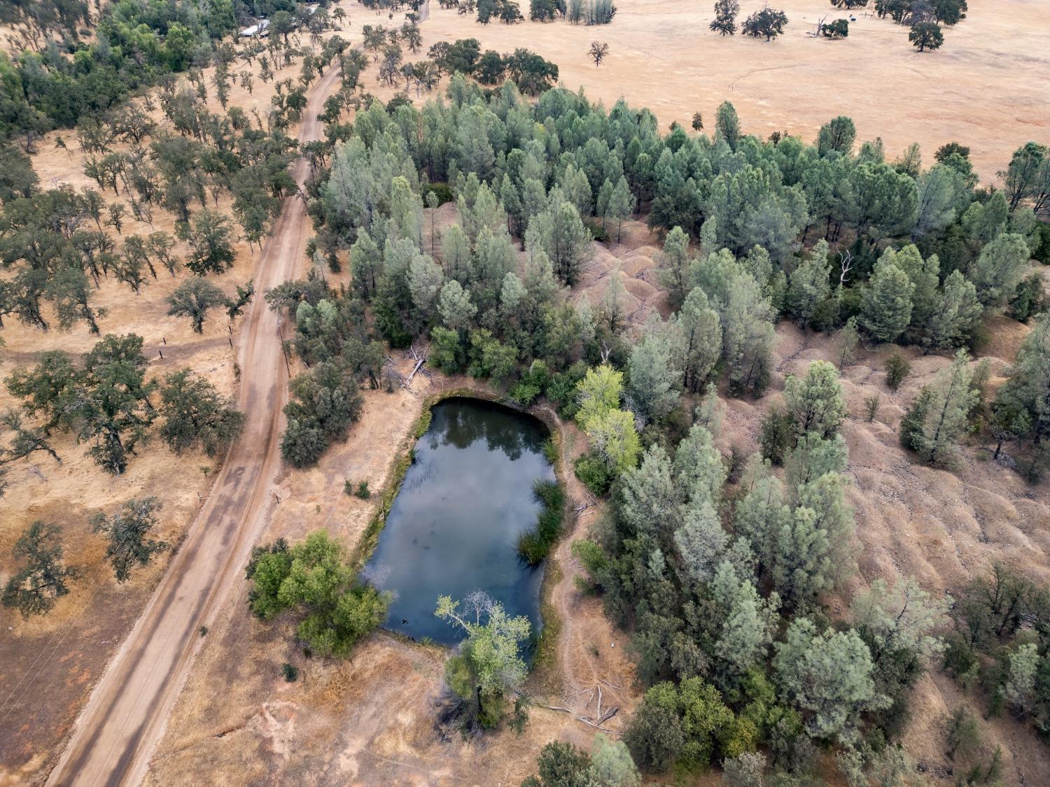 Blanco Road, Palermo, California image 7