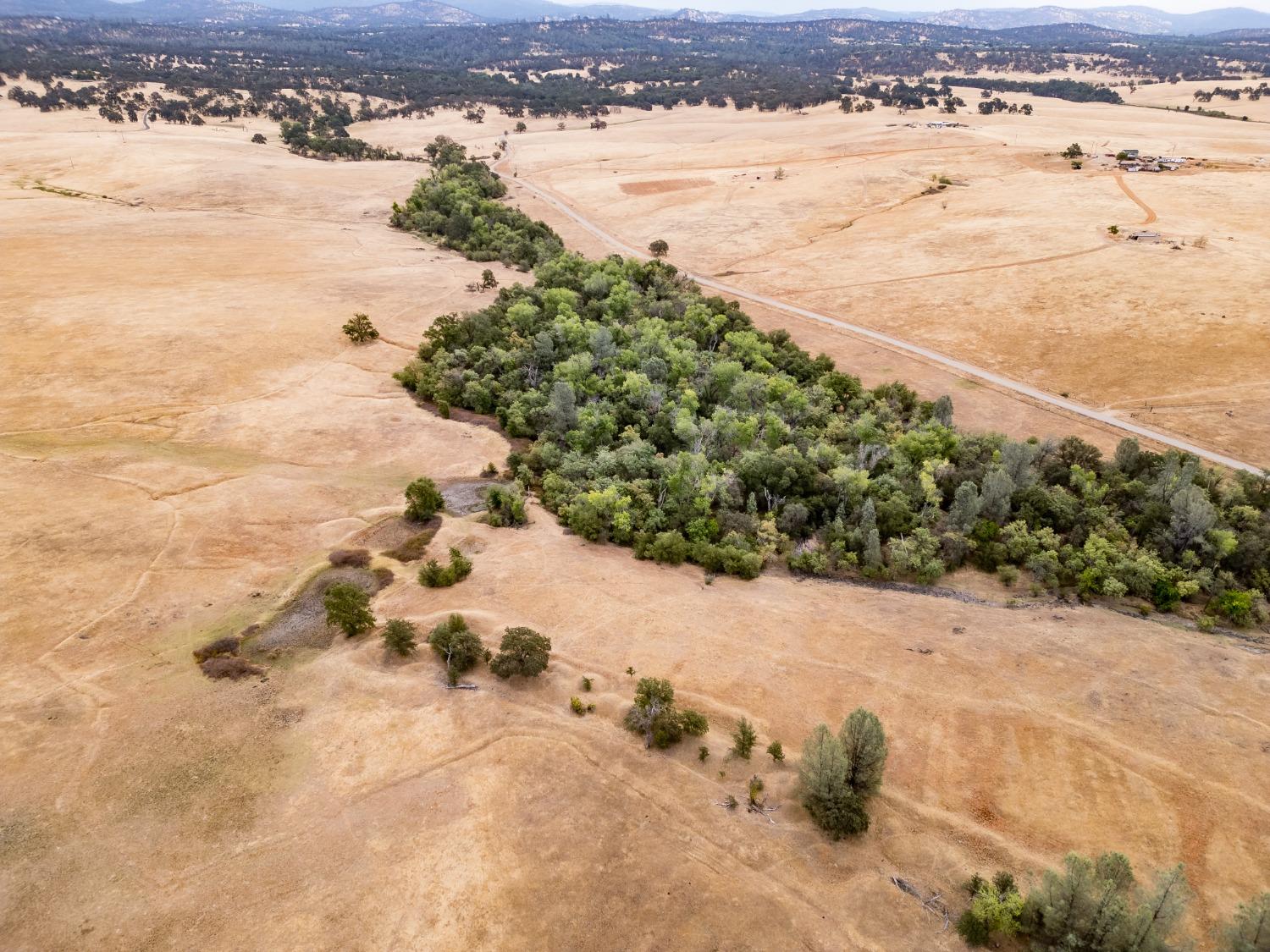 Blanco Road, Palermo, California image 9