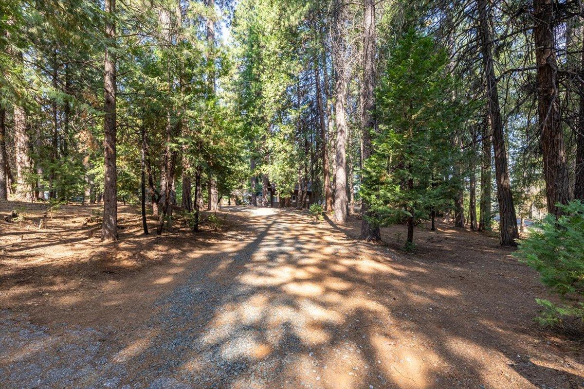 Grizzly Flat Road, Grizzly Flats, California image 8