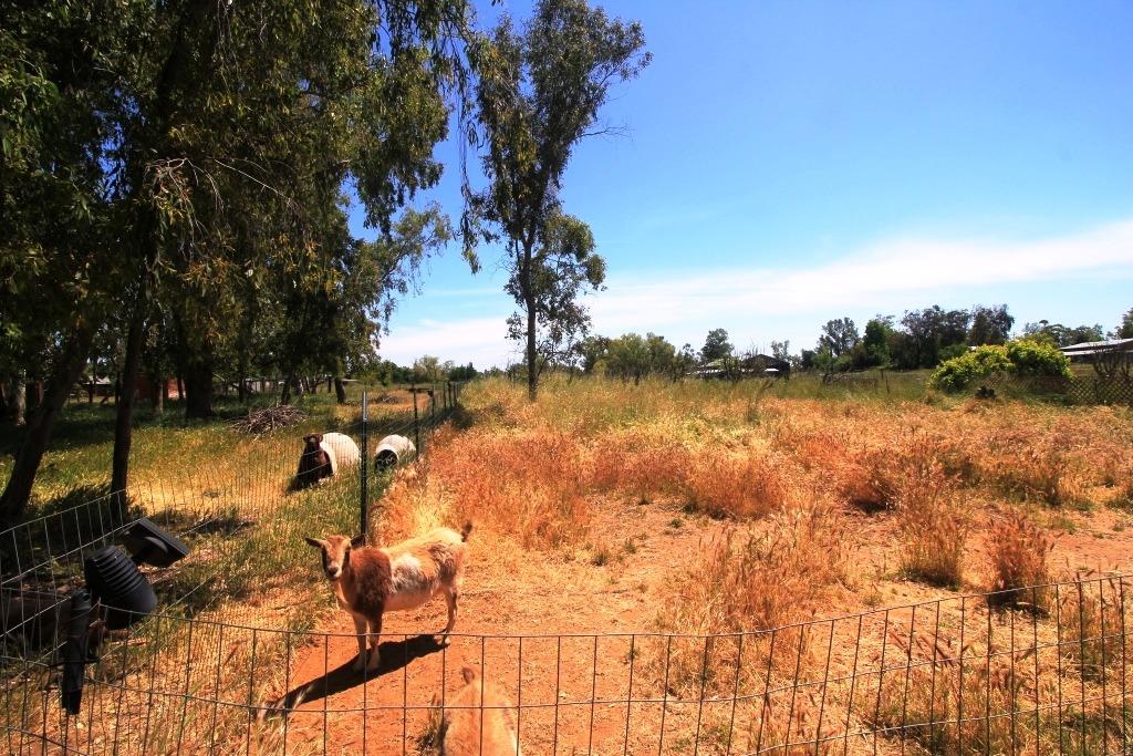 Clay Station Road, Herald, California image 39