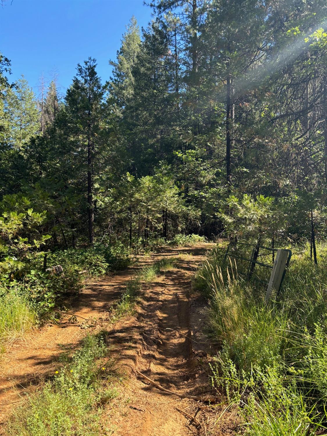 Balboa Trail, Challenge, California image 2