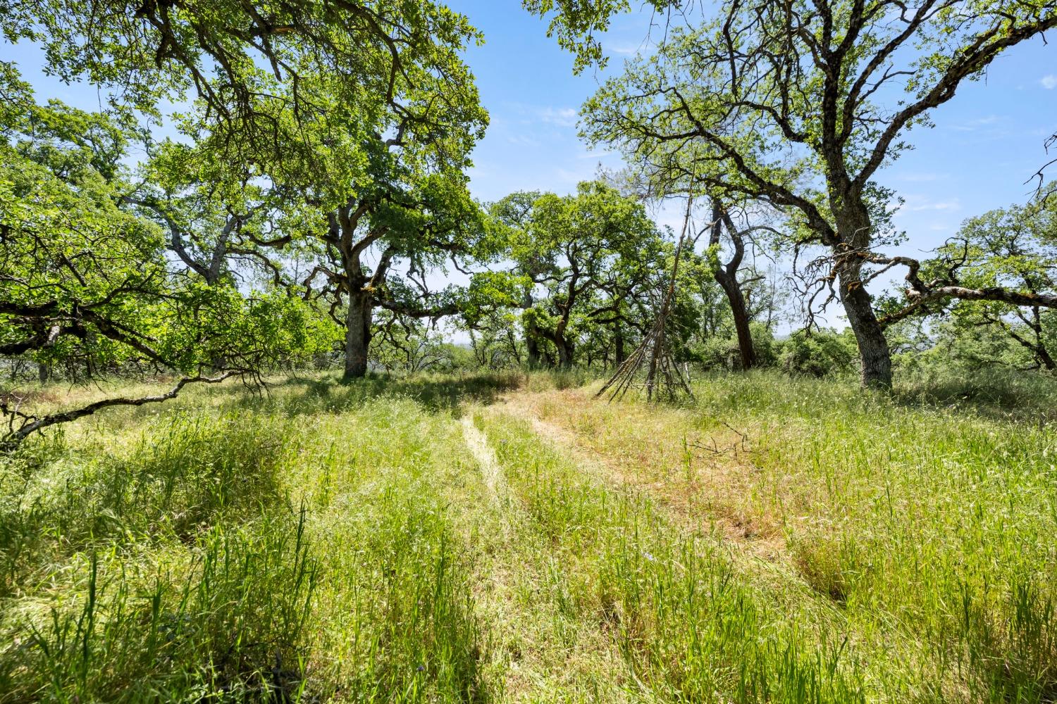 Detail Gallery Image 4 of 22 For 0 Peaceful Valley Road, Colfax,  CA 95713 - – Beds | – Baths